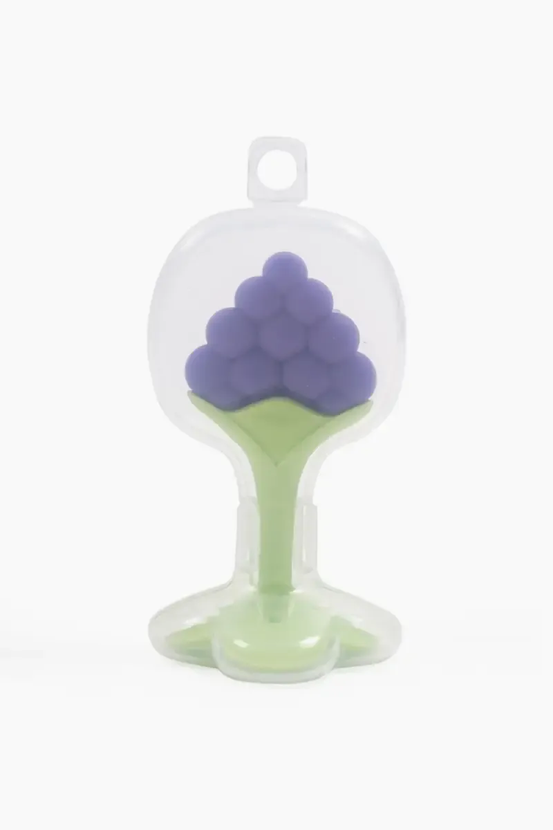 Silicone Fruit Shape Teether For Toddlers (Blue) 022621BLU