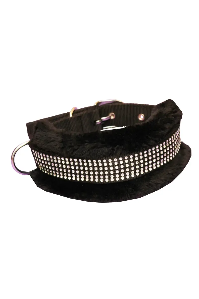 Dog Collar & Leash (Large)- Black