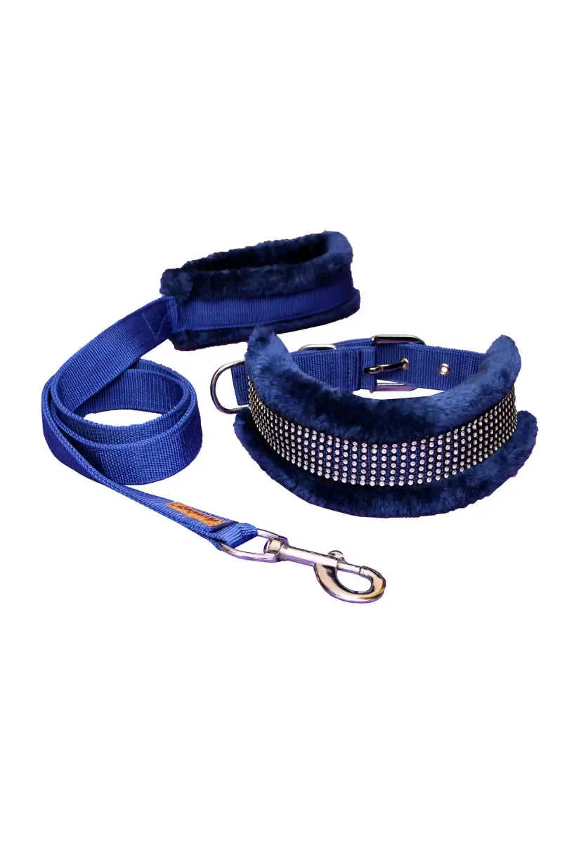 Dog Collar & Leash (Medium) - Blue
