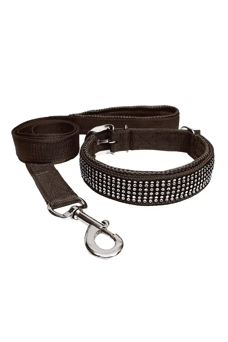 Nylon Mesh Dog Collar & Leash (Medium) - Black