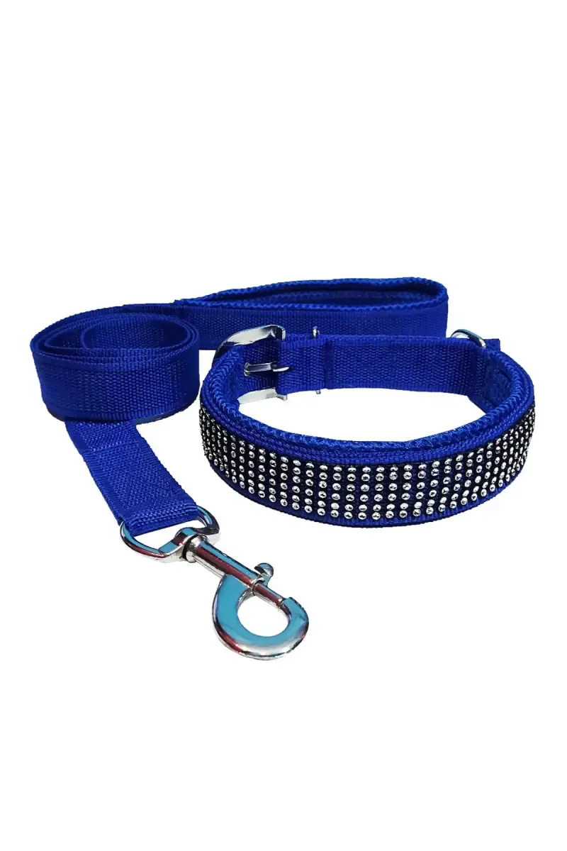 Nylon Mesh Dog Collar & Leash (Medium) - Blue