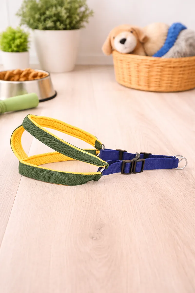 Duel color Dog Mesh Harness & Leash (Small) -Blue & Green