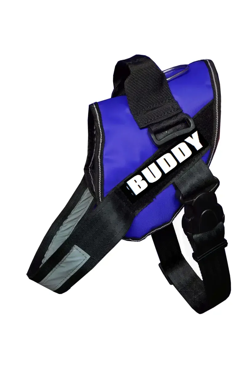 Buddy Buckle Dog Harness (Small) - Blue