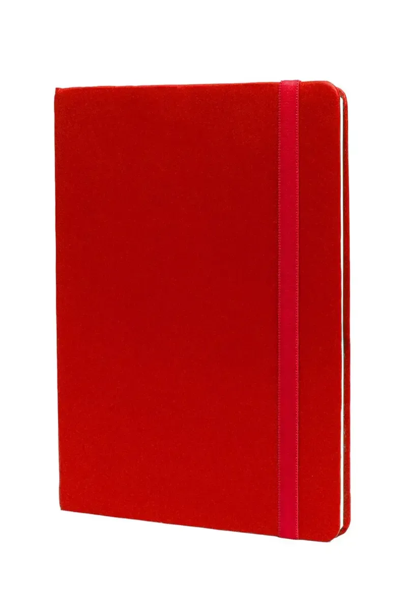 Anupam Hue Office Diary - 192 Pages