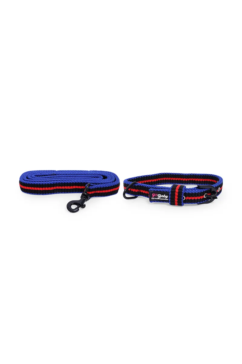 Super Chain Nylon Dog Belt & Leash Combo - Red & Blue (Large) 023509BLUREDLAR2