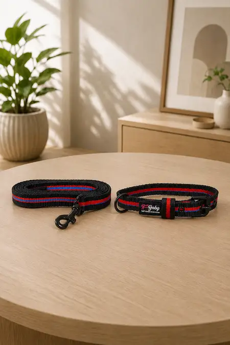 Nylon Dog Belt & Leash Combo - Red & Black (Large)