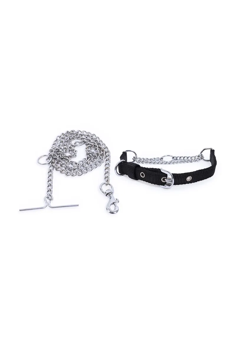 Super Chain Dog Collar with Chain (Medium) - Black 023512SILBLAMED