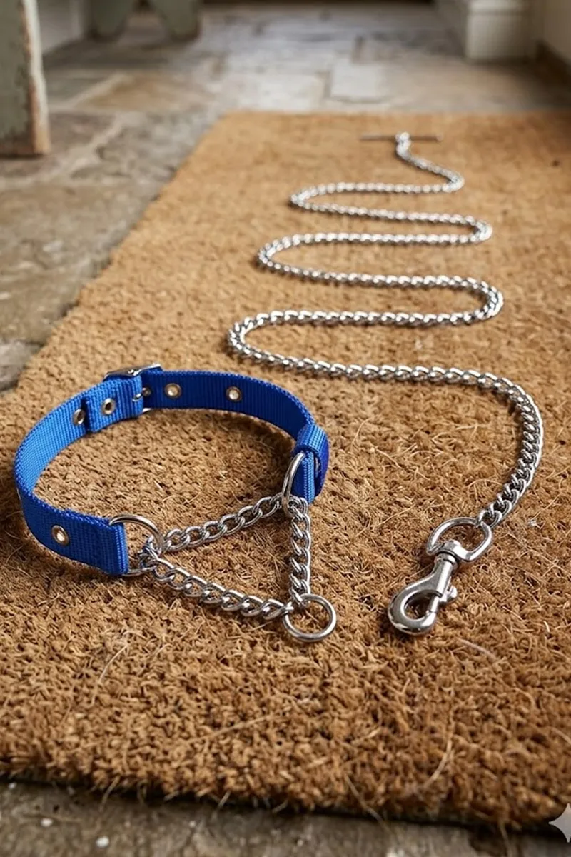 Super Chain Dog Collar with Chain (Medium) - Blue 023512SILBLUMED