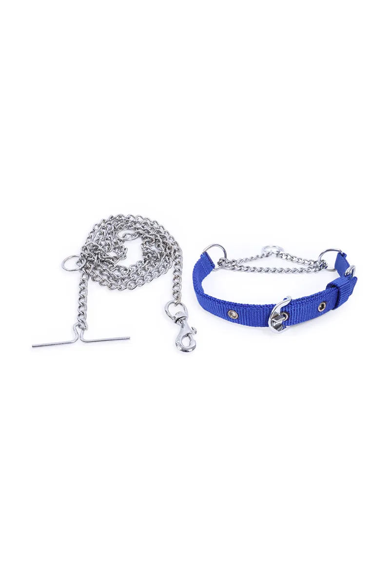 Super Chain Dog Collar with Chain (Medium) - Blue 023512SILBLUMED