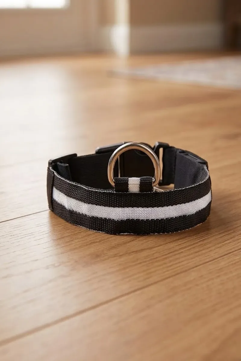 Super Chain Nylon Pet Collar & Leash for Dogs (Black) - Small 023514BLASMA