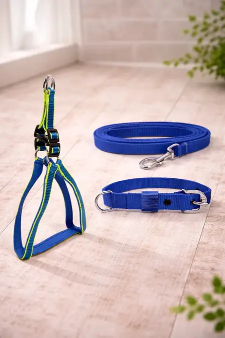 Super Chain Dog Collar Set Combo (Small) - Blue  023516BLUSMA