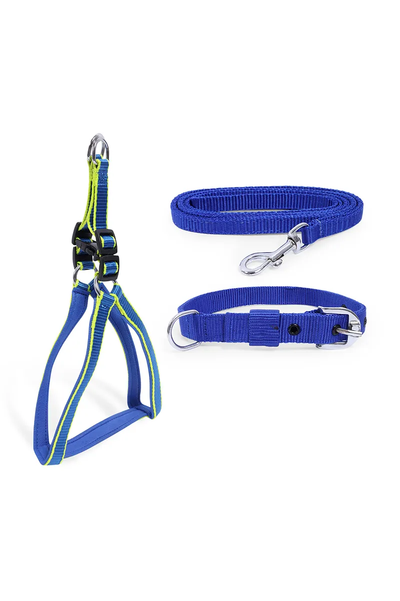 Dog Collar Set Combo (Small) - Blue