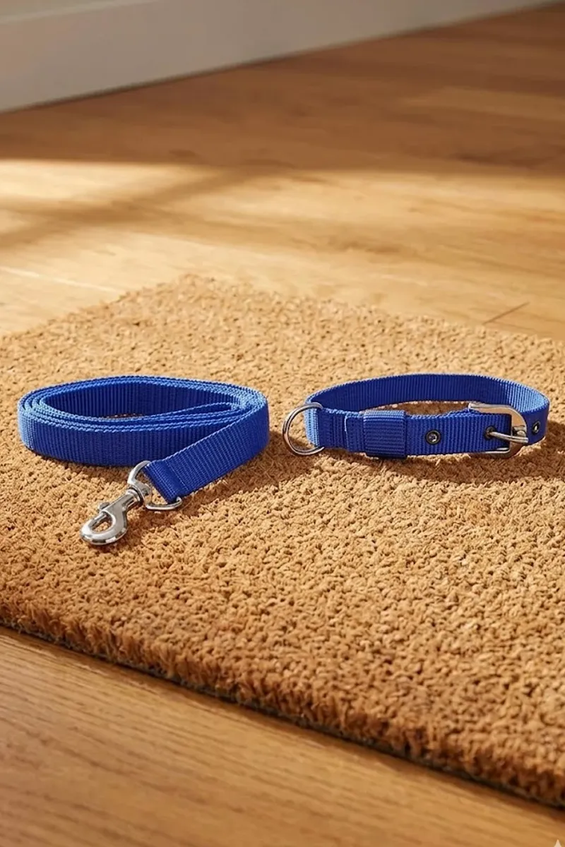 Dog Collar With Leash Belt (Medium) - Blue