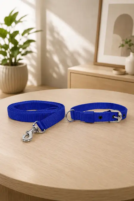 Super Chain Dog Collar With Leash Belt (Small) - Blue 023521BLUSMA
