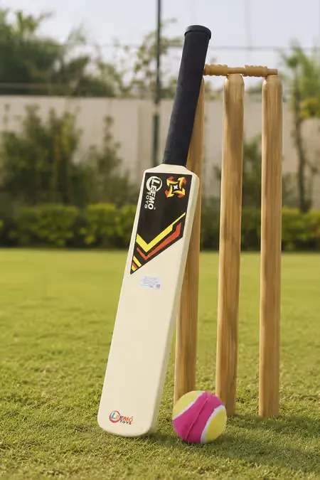 Plastic Cricket Bat and Ball Kit for Kids (Multicolor)