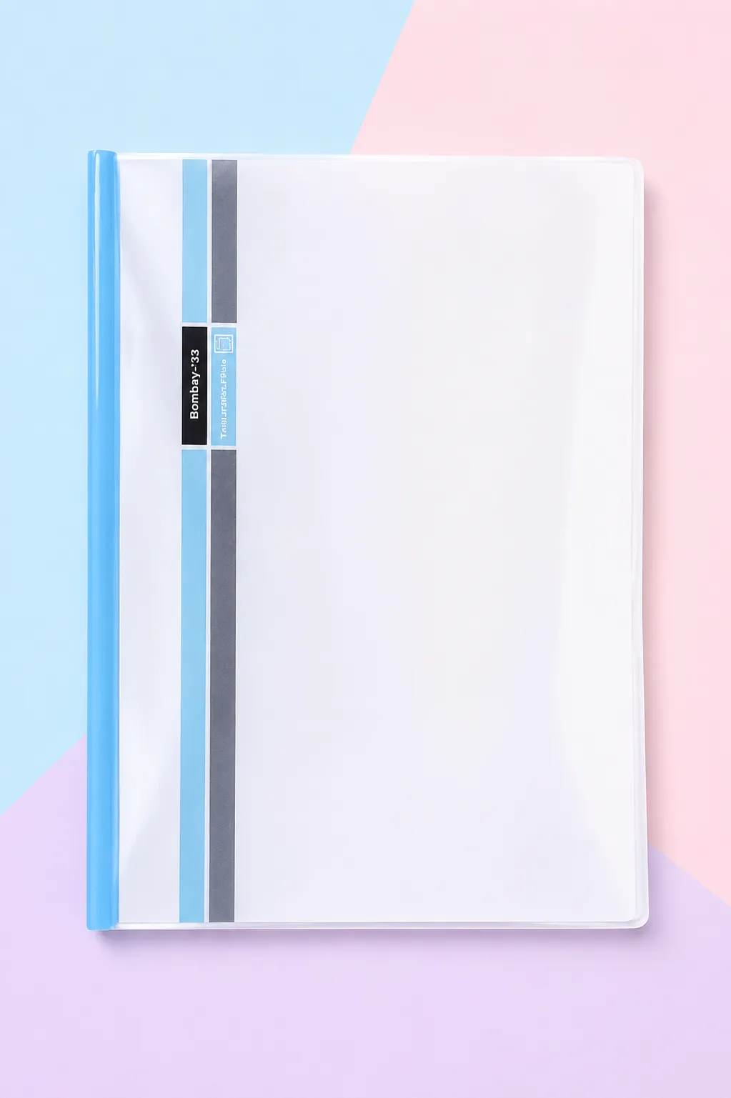Transparent Stick File, A4 Size - Pack of 1