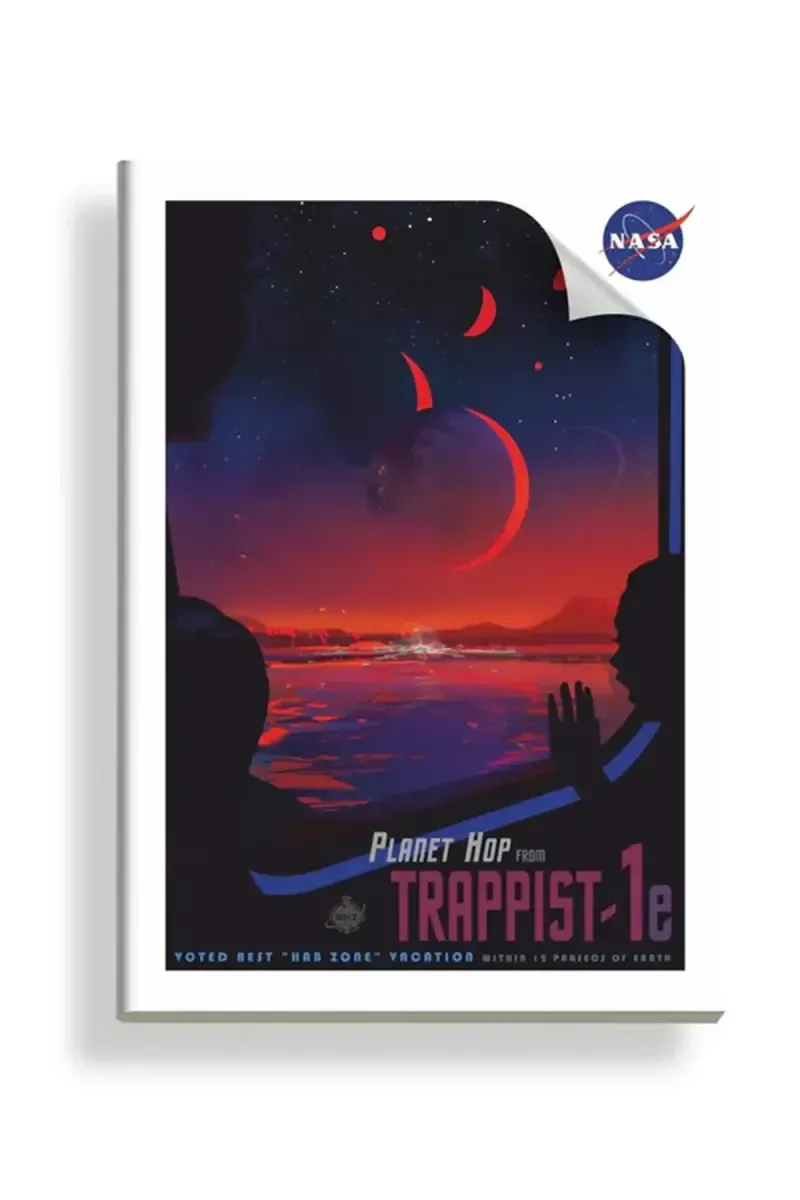 Anupam Nasa Art Printed Softcover Notebook - 360 Pages