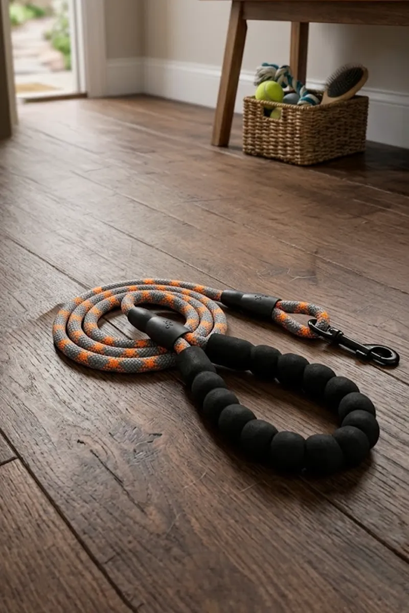 Dog Leash Medium (Orange) - Pack of 1