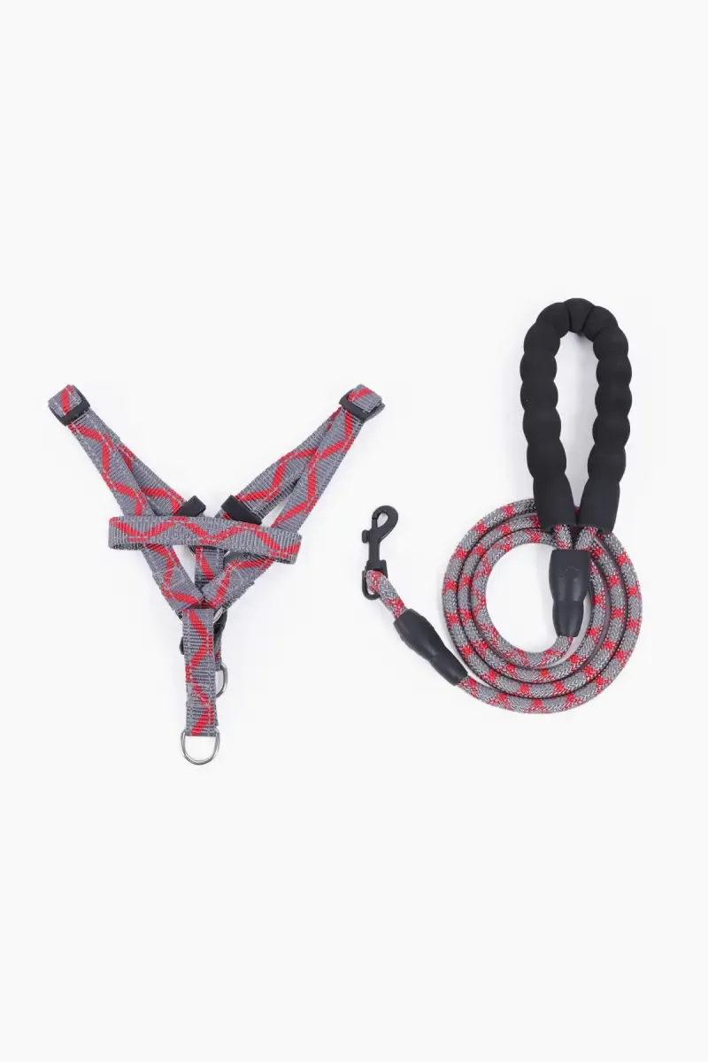 Dog Collar with Leash Medium (Red) - Pack of 1