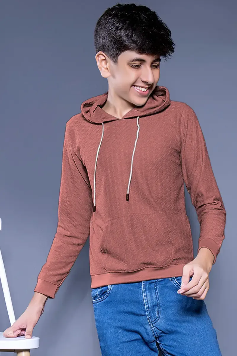 Self Design Cotton Hoodie for Boys 027878BRO1314YRS