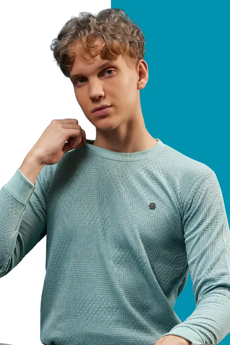 Cotton Blend Self Design Sweatshirts for Men 028115BLU38