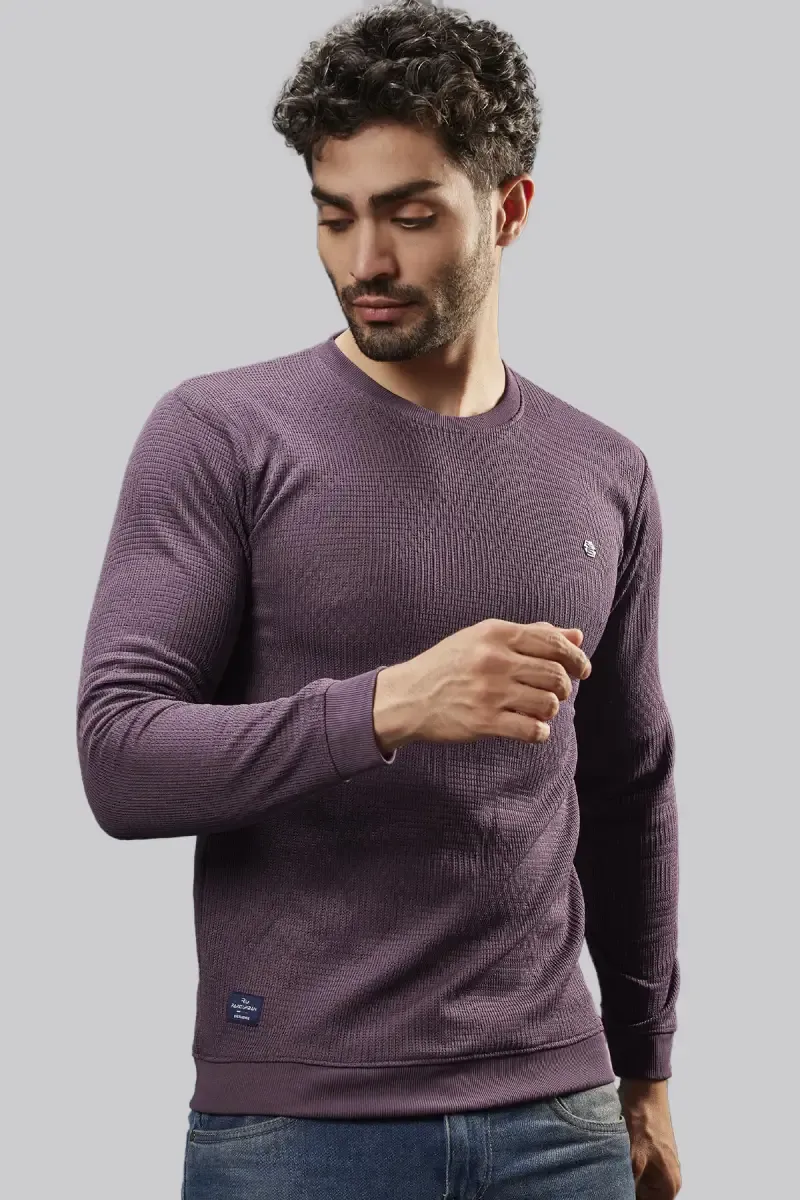 Cotton Blend Self Design Sweatshirts for Men 028115PUR36