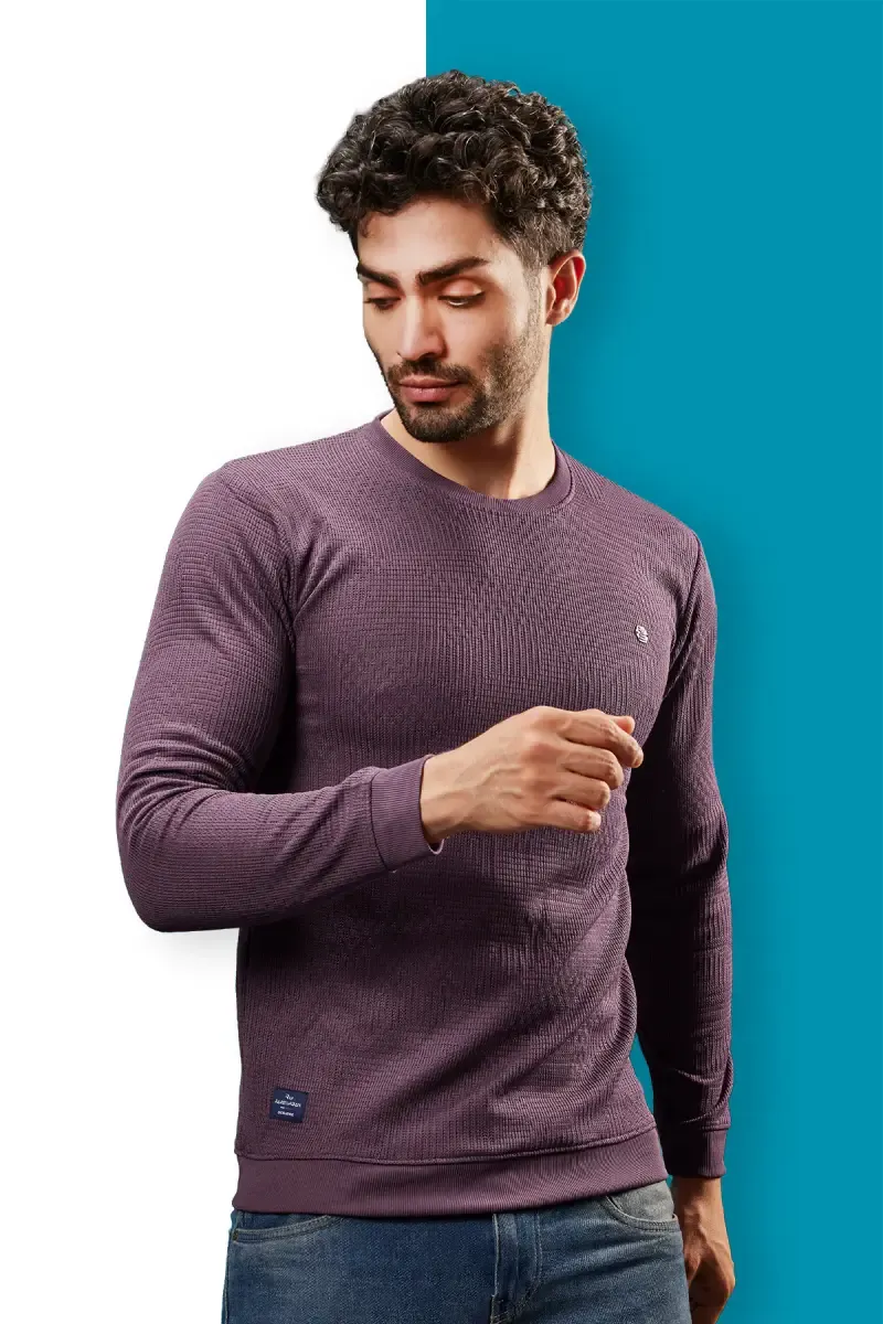 Cotton Blend Self Design Sweatshirts for Men