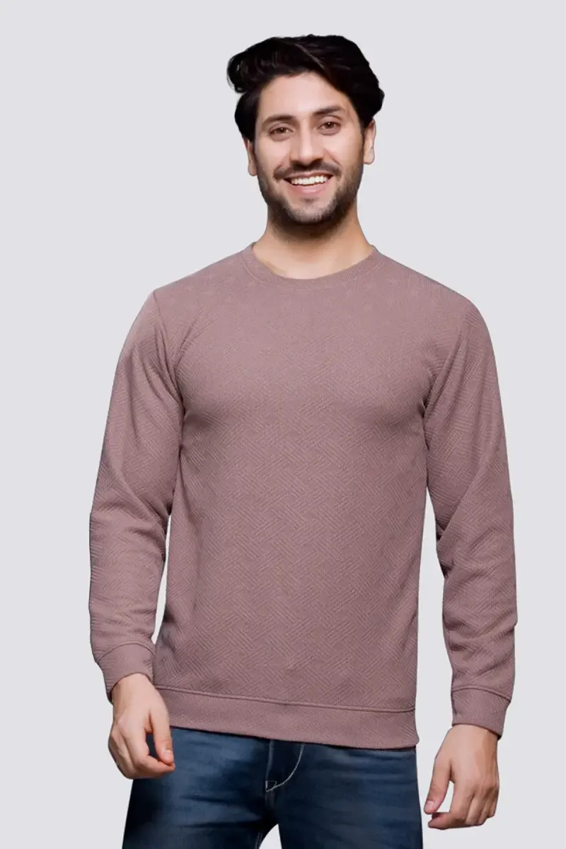Cotton Regular Fit Sweatshirt for Men
