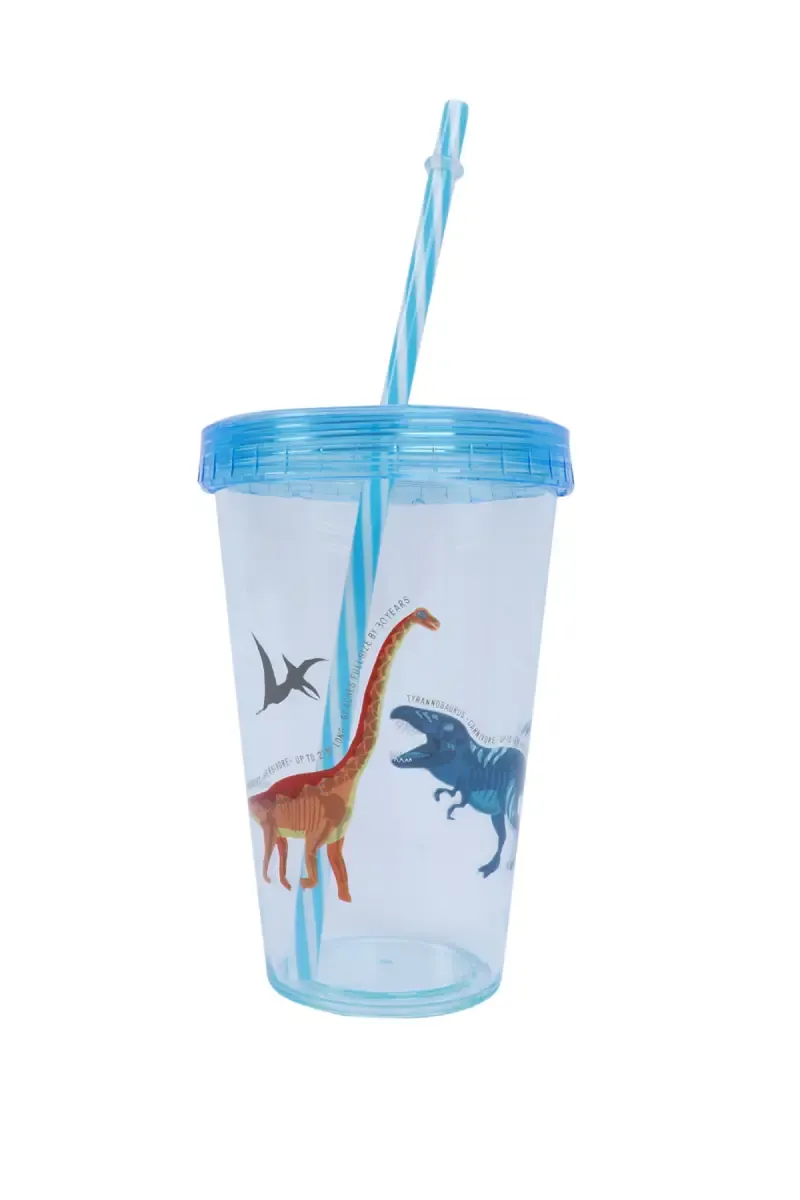 Plastic Tumbler with Lid & Straw - 480ml