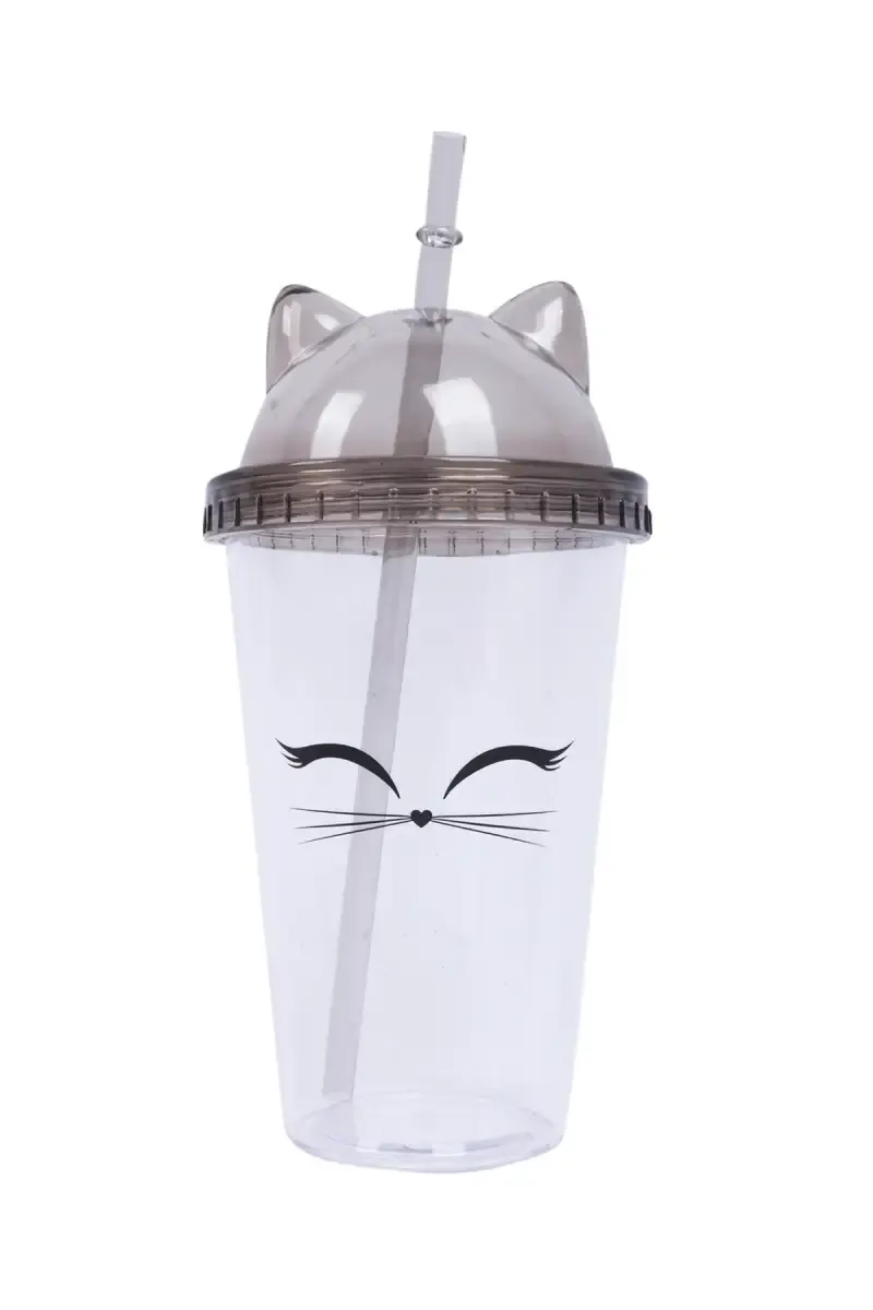 Plastic Tumbler with Lid & Straw - 480ml