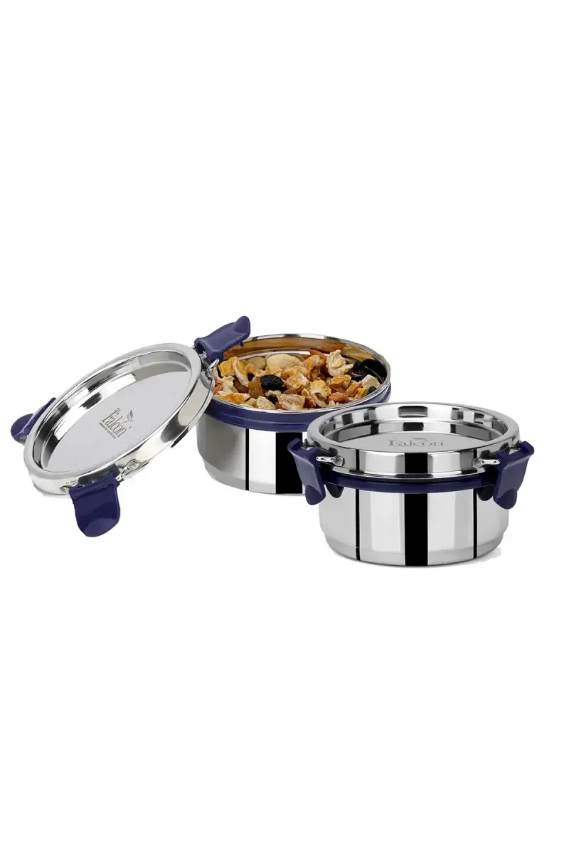 PddFalcon Stainless Steel EcoNxt Lily Lunch Box, Set of 2 - 700ml