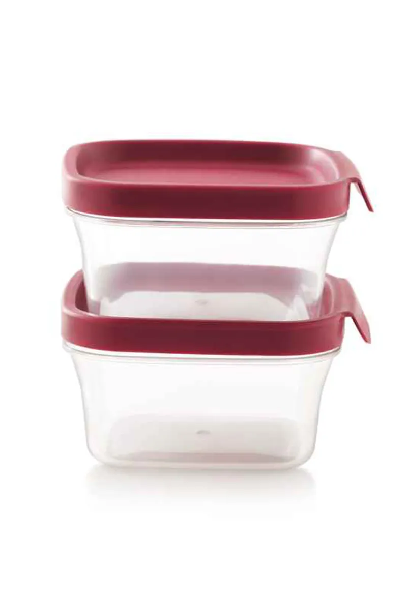 Mastercook Plastic Container - Set of 2