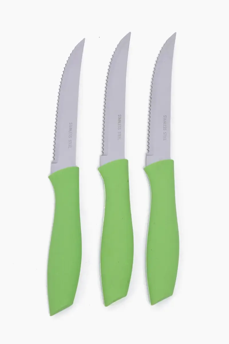 Plastic & Stainless Steel Steak Knife Set - 26 cm (3 pc)