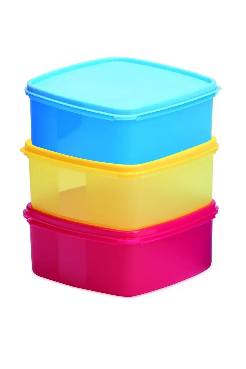 Varmora Plastic V Fresh Container Set - 1000ml (each)