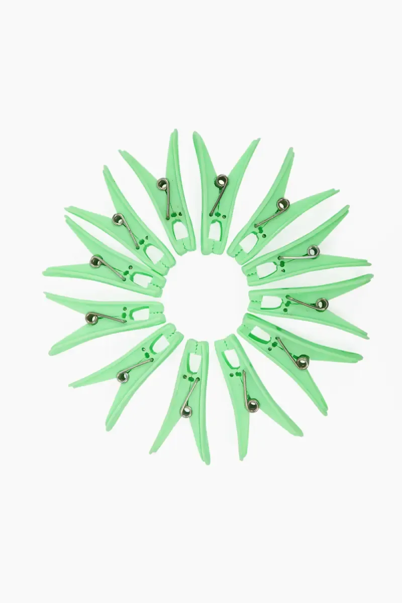 Plastic Cloth Clips  - 12pc 032380PLAGRE