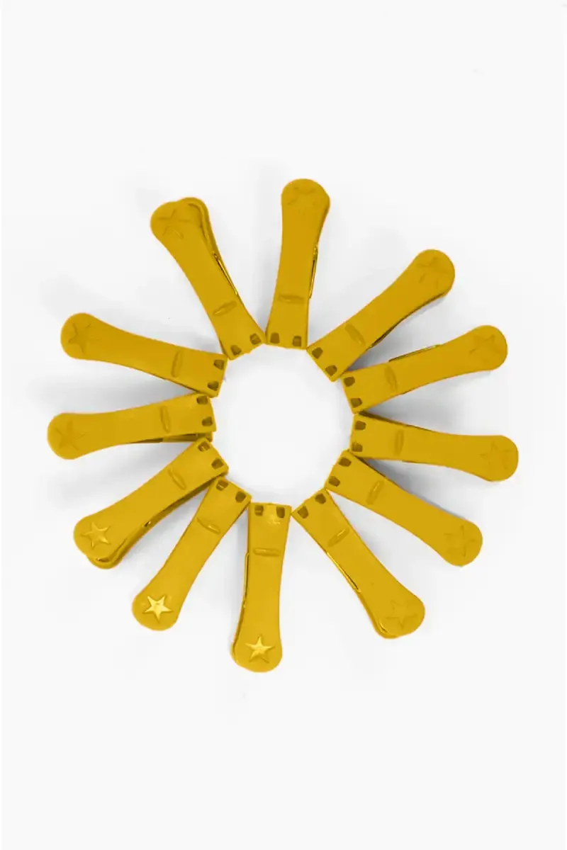 Plastic Cloth Clips  - 12 Pcs