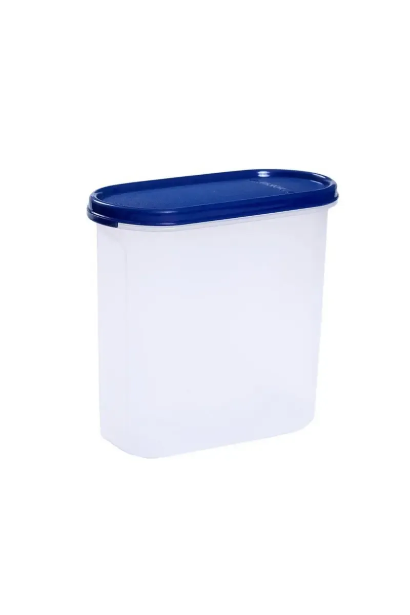 Signoraware Plastic Container - 1.7 LTR