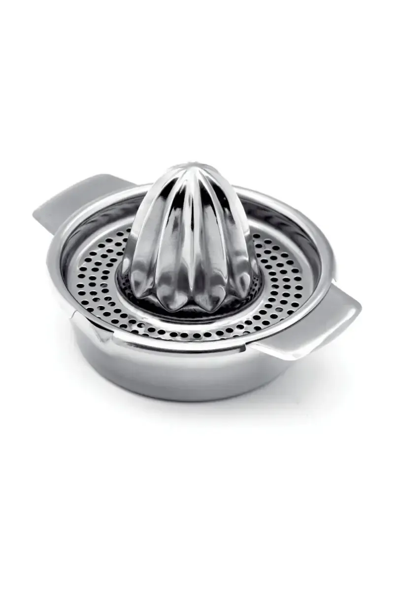 Tej Stainless Steel Juicer - 300ml