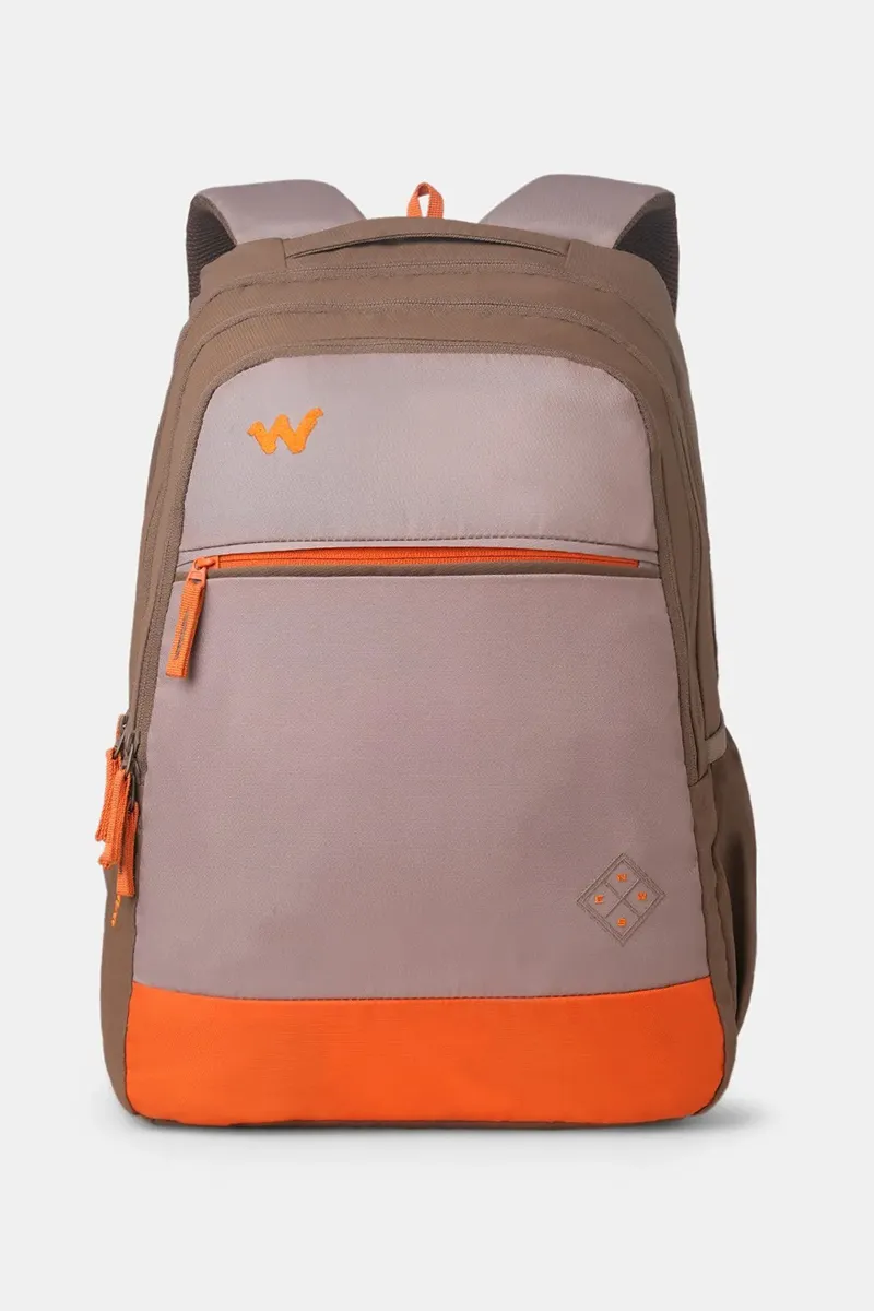 Outlander 40 L Laptop Backpack with Rain Cover BGDSLB069BROGREY