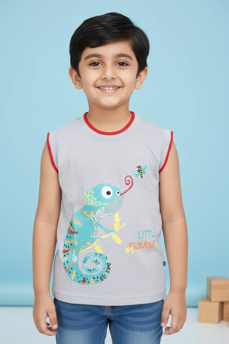 Printed T-Shirt for Boys - Grey CLBT00319GREY34YR