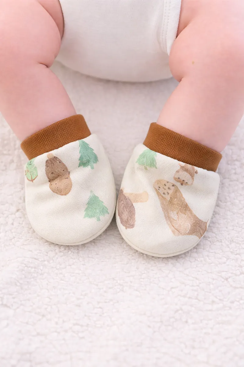Cotton Socks/Booties for Babies -Pista CLJBS010PIS03M