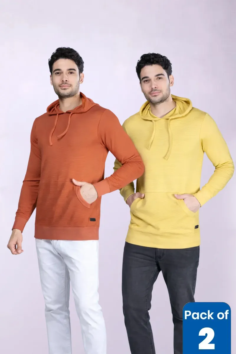 Men's Textured Self Designed Hoodies - Pack of 2