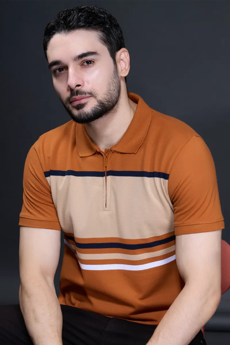 Men's Color Block Polo Neck Tshirt CLMTS01BRO44