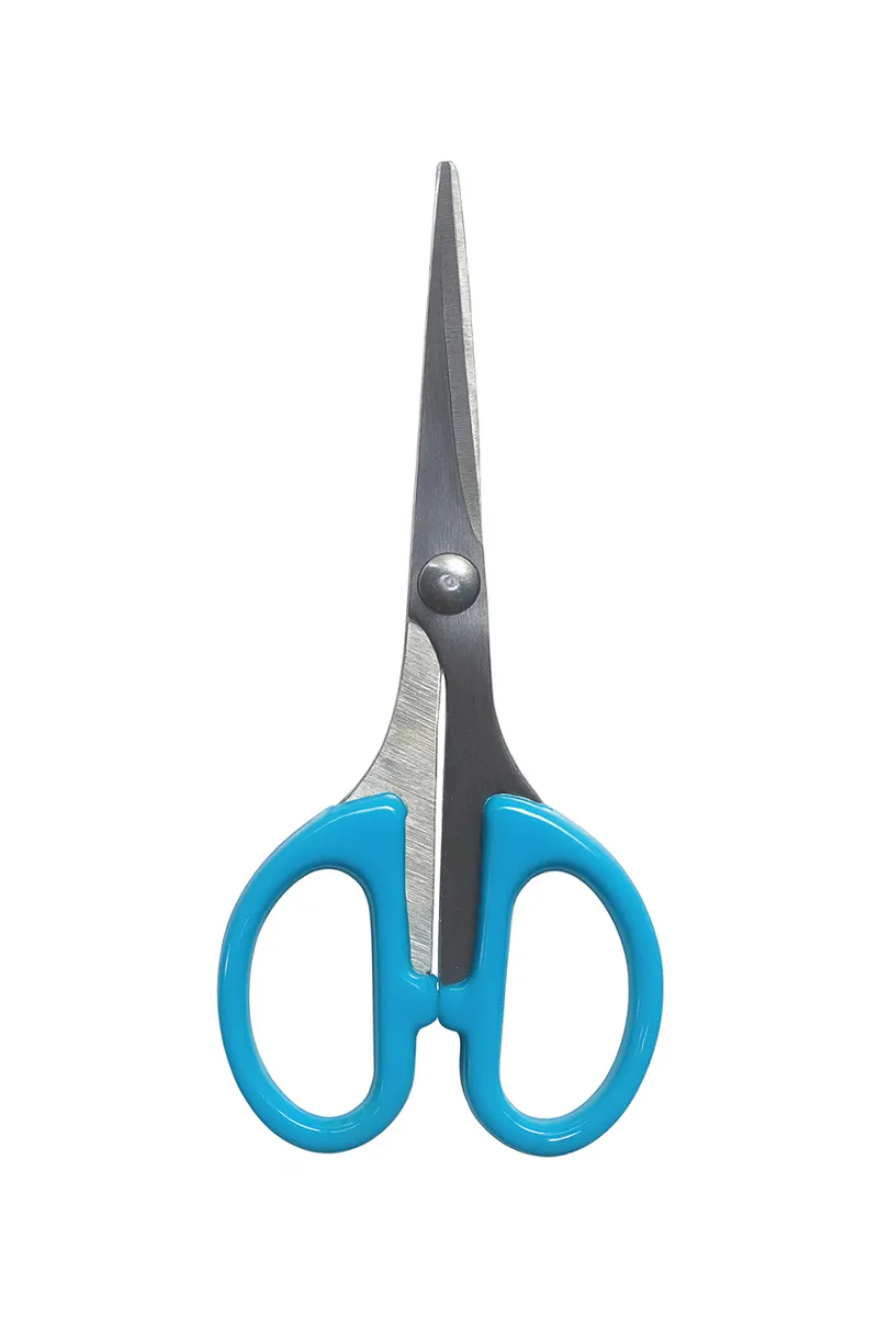 Plastic & Stainless Steel Multipurpose Scissor, Blue - 11 Cm