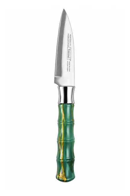 Plastic & Stainless Steel Knife - 21 Cm
