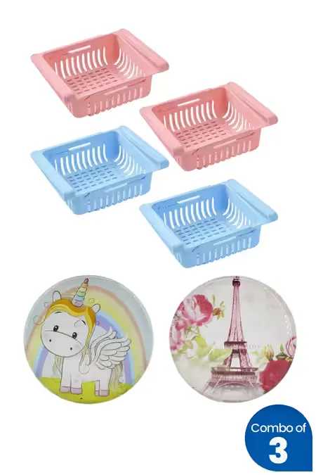 Plastic Fridge Rack and Magnetic Fridge Sticker - Combo of 3