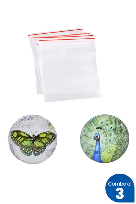 Plastic Zip Lock Cover and Magnetic Fridge Sticker - Combo of 3