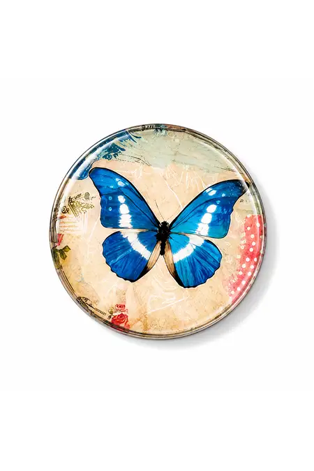 Butterfly Printed Magnet - Pack of 1