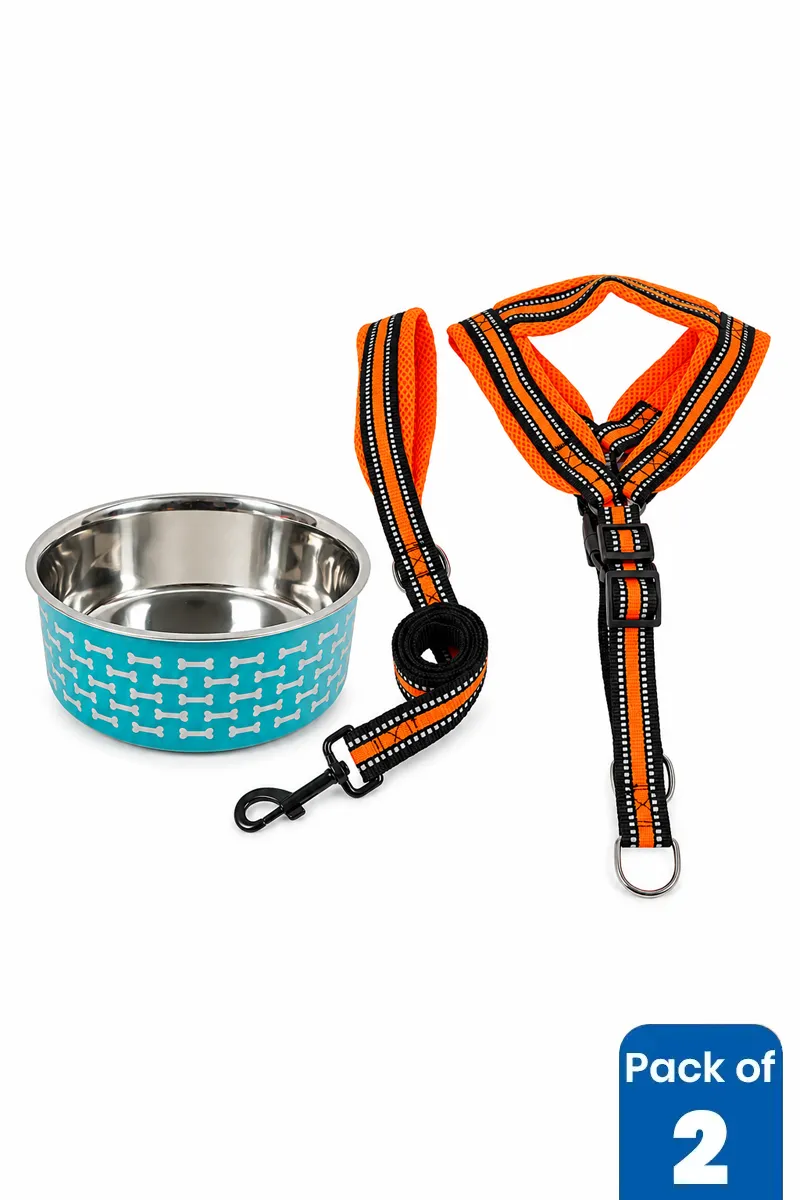 Stainless Steel Dog Feeding Bowl & Rope Leash Combo - Pack of 2