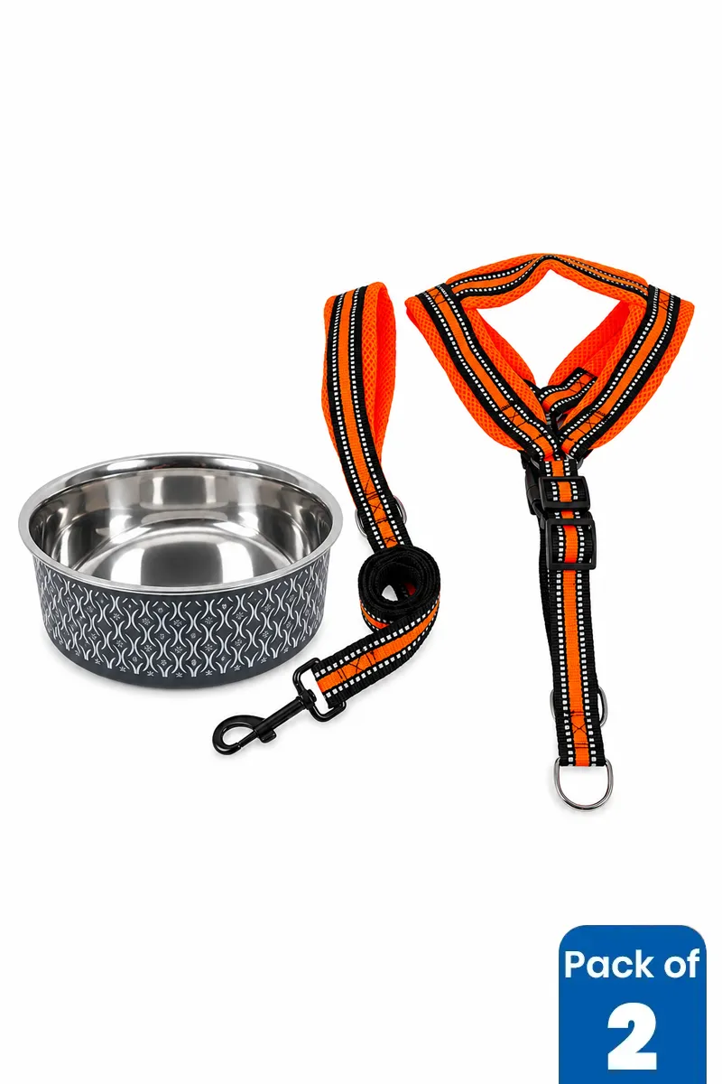 Stainless Steel Dog Feeding Bowl & Rope Leash Combo - Pack of 2